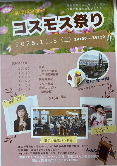 粟井稲生神社コスモス祭り